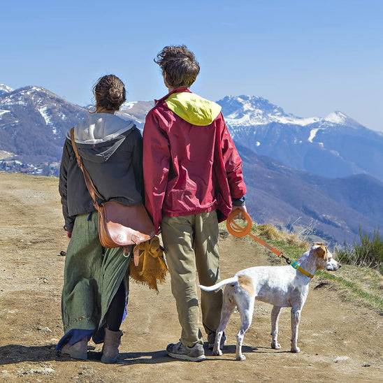Couple en randonnée avec chien en longe orange face aux montagnes, longe pour chien robuste pour aventures en plein air.